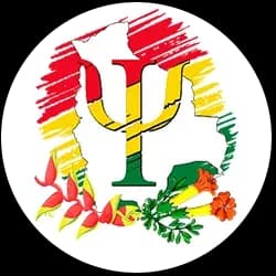 Colegio Nacional Oficial de Psicólogos de Bolivia