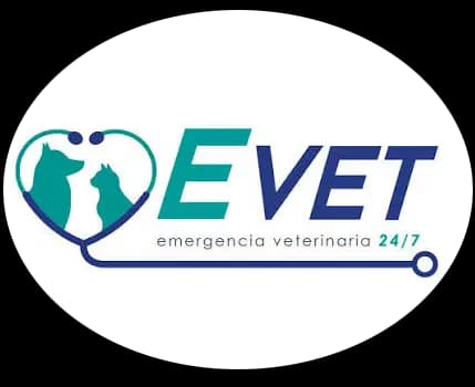 Veterinaria Evet